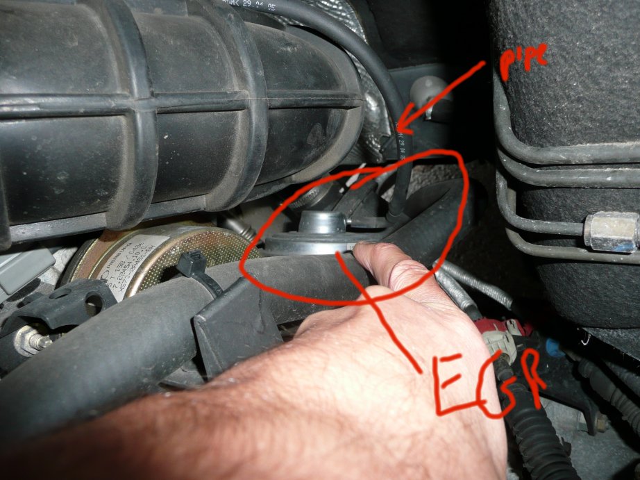 Ford transit egr valve recall